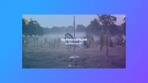 Hero Carousel image